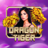 Dragon Tiger Table Game Live
